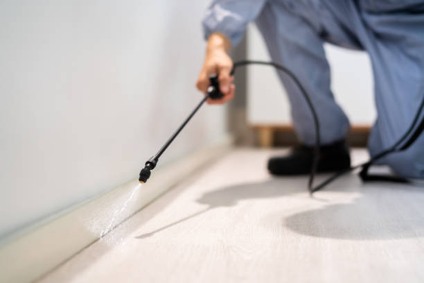 Licensed Pest Control service in Burke County County, NC - Nex Pest Control