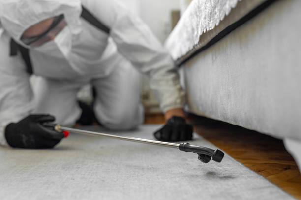 Professional Pest Control technician working in Burke County County, NC